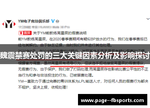 魏震禁赛处罚的三大关键因素分析及影响探讨 魏震禁赛处罚的三大关键因素分析及影响探讨