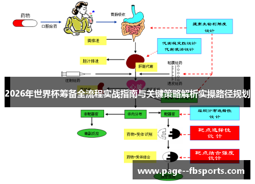 2026年世界杯筹备全流程实战指南与关键策略解析实操路径规划