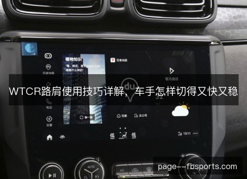 WTCR路肩使用技巧详解，车手怎样切得又快又稳
